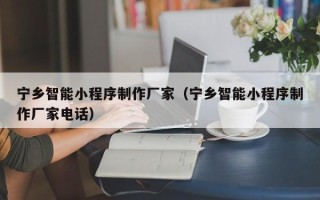 范县宁乡智能小程序制作厂家（宁乡智能小程序制作厂家电话）