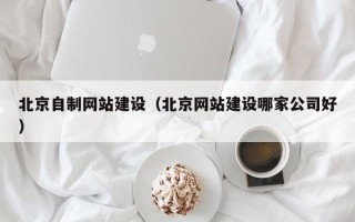 范县北京自制网站建设（北京网站建设哪家公司好）